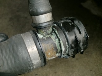 CIMG2555